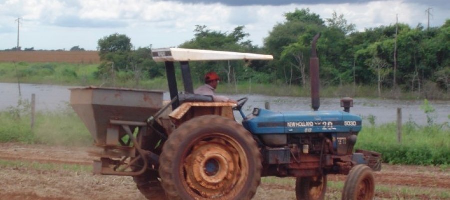 PLANTIO
