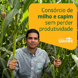 João Roberto