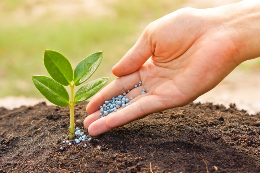 4 dicas de adubação do solo para plantio