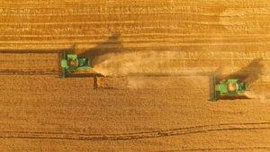 Plano Safra: benefícios e possibilidades para a agricultura familiar
